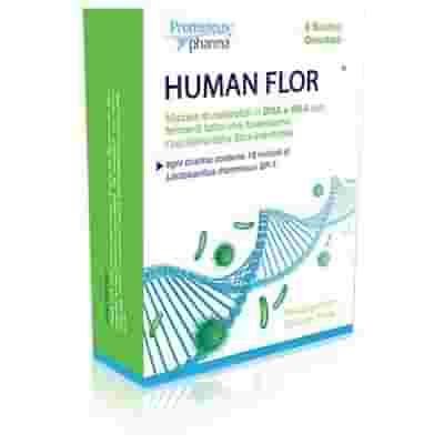 HUMANFLOR 8 BUSTINE 12 G