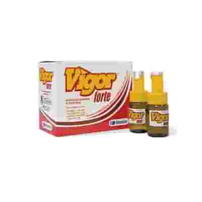 VIGOR FORTE 7 FLACONCINI DA 10 ML