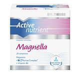 THEISS ACTIVE NUTRIENT MAGNELLA RETARDE SYSTEM 28 COMPRESSE