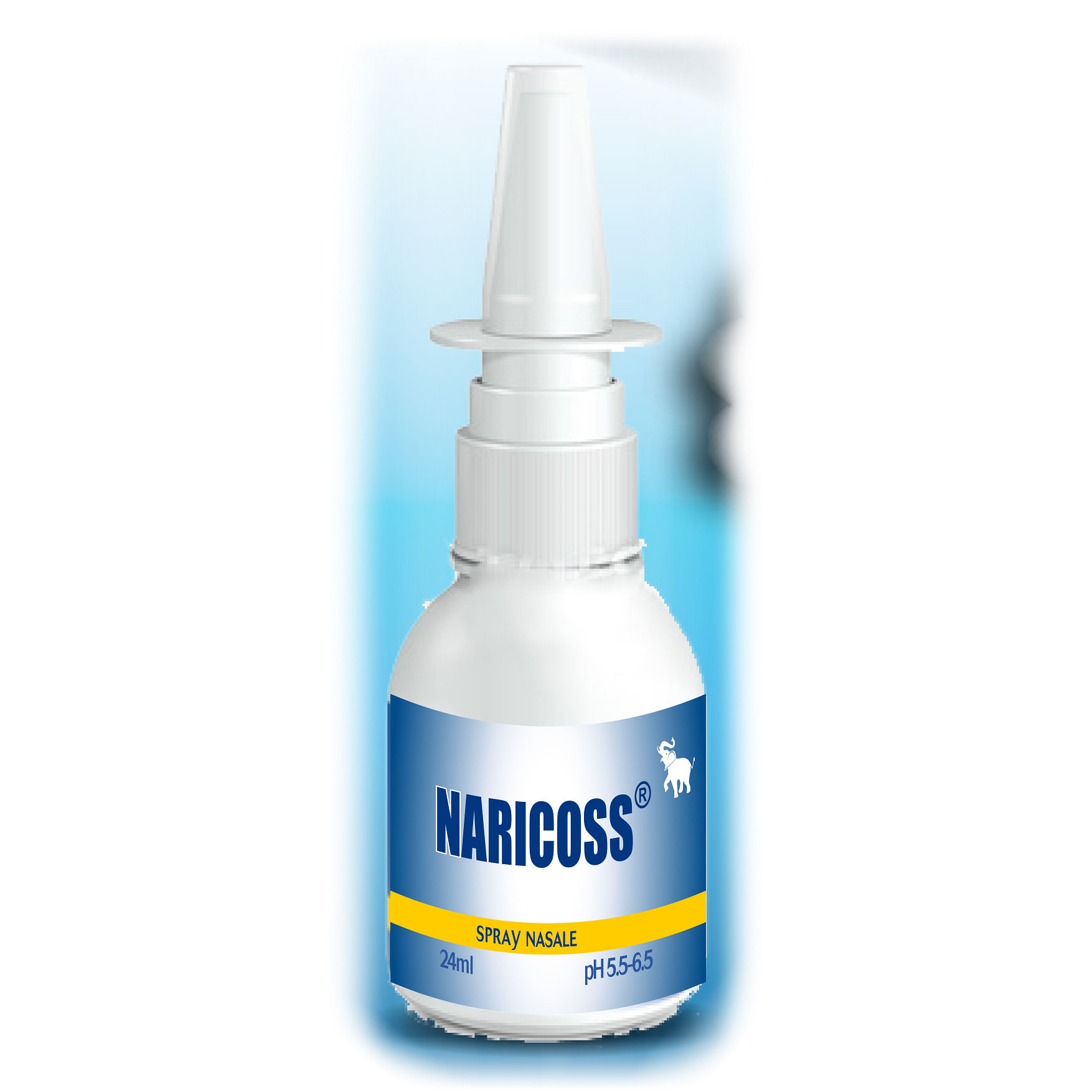 Naricoss Spray Nasale 24 Ml