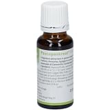 PASCOPANKREAT VITAL GOCCE 20 ML PASCOE