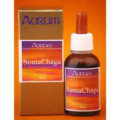 SOMACHAGA GOCCE 30 ML