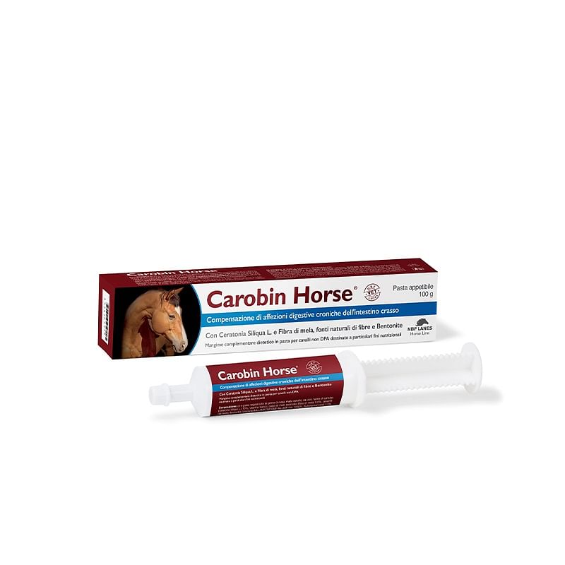 Carobin Horse Pasta Appetibile Siringa 100 G