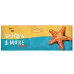 SPUGNA DI MARE SOFT L