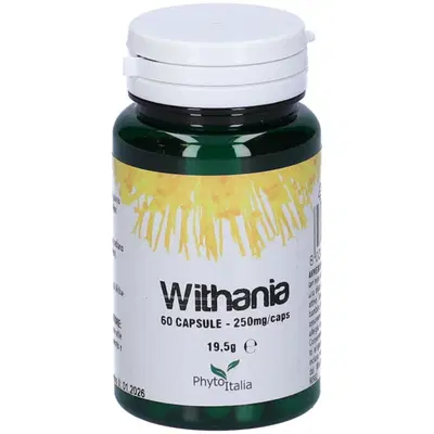 WITHANIA SOMNIFERA 60 CAPSULE WITHANIA SOMNIFERA 60 CAPSULE