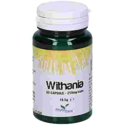 WITHANIA SOMNIFERA 60 CAPSULE