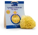 BABY NEUTRA SPUGNA NATURALE DI MARE 12/48 MESI