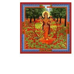 DURGA MA GOCCE 30 ML