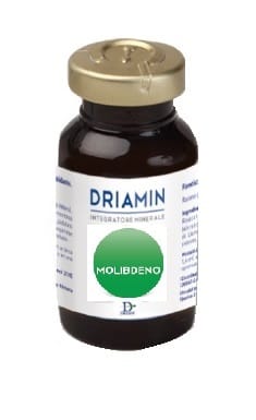 Integratore Driamin Molibdeno in flaconcini monodose 15ml