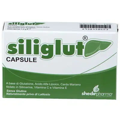 SILIGLUT 20 CAPSULE SILIGLUT 20 CAPSULE