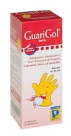 GUARIGOL SPRAY 20 ML