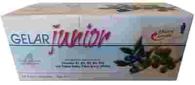 GELARJUNIOR 28 FLACONI MONODOSE 10 ML