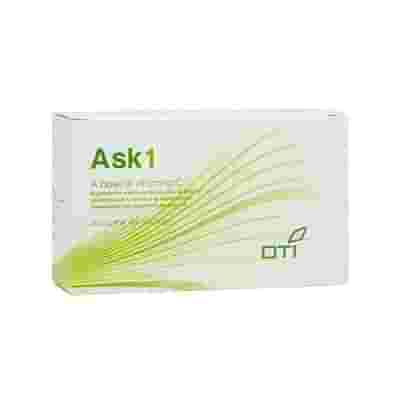 ASK 1 60 BUSTINE