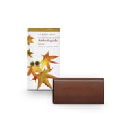 AMBRALIQUIDA SAPONE 100 G