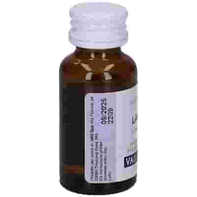 OLIO ESSENZIALE VAILLANT LAVANDA 10 ML