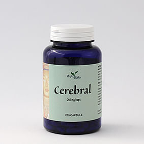 Cerebral Ayurved 60 Capsule