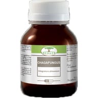 CHAGAFUNGUS 60 CAPSULE