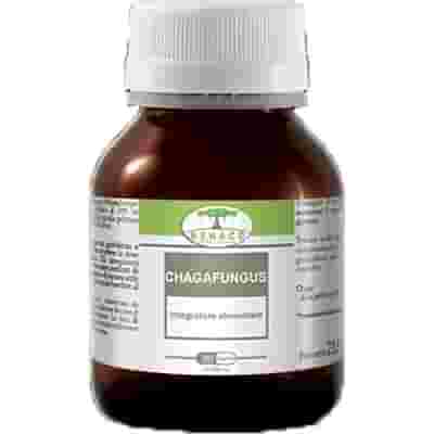 CHAGAFUNGUS 60 CAPSULE