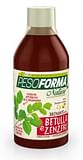 PESOFORMA NATURE DRENANTE BETULLA E ZENZERO 500 ML