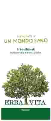 PASSIFLORA SOMMITA' TAGLIO TISANA 1 KG