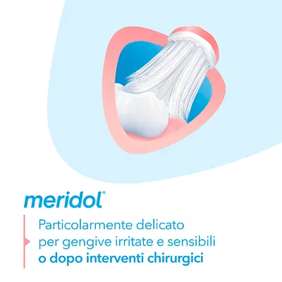 MERIDOL PERIO SPAZZOLINO GENGIVE SENSIBILI 1 PEZZO MERIDOL PERIO SPAZZOLINO GENGIVE SENSIBILI 1 PEZZO