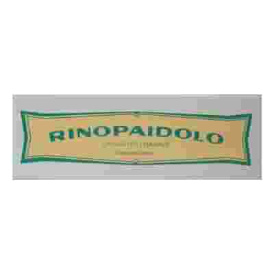 RINOPAIDOLO UNGUENTO NASALE 10 G