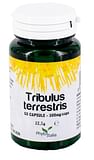 PHYTOITALIA TRIBULUS TERRESTRIS 60 CAPSULE