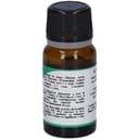 ALISOL GOCCE 10 ML