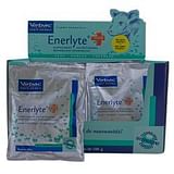 ENERLYTE PLUS SCATOLA 24 BUSTE DA 100 G