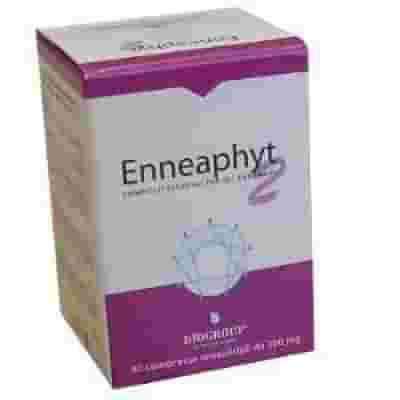 ENNEAPHYT 2 40 COMPRESSE OROSOLUZIONE 300MG