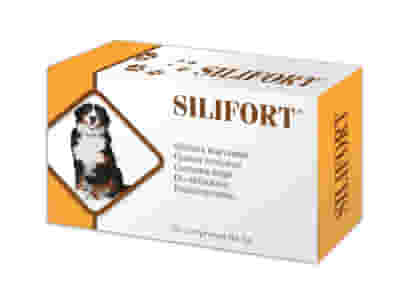Integratore Silifort 30 compresse per cani e gatti, 1g