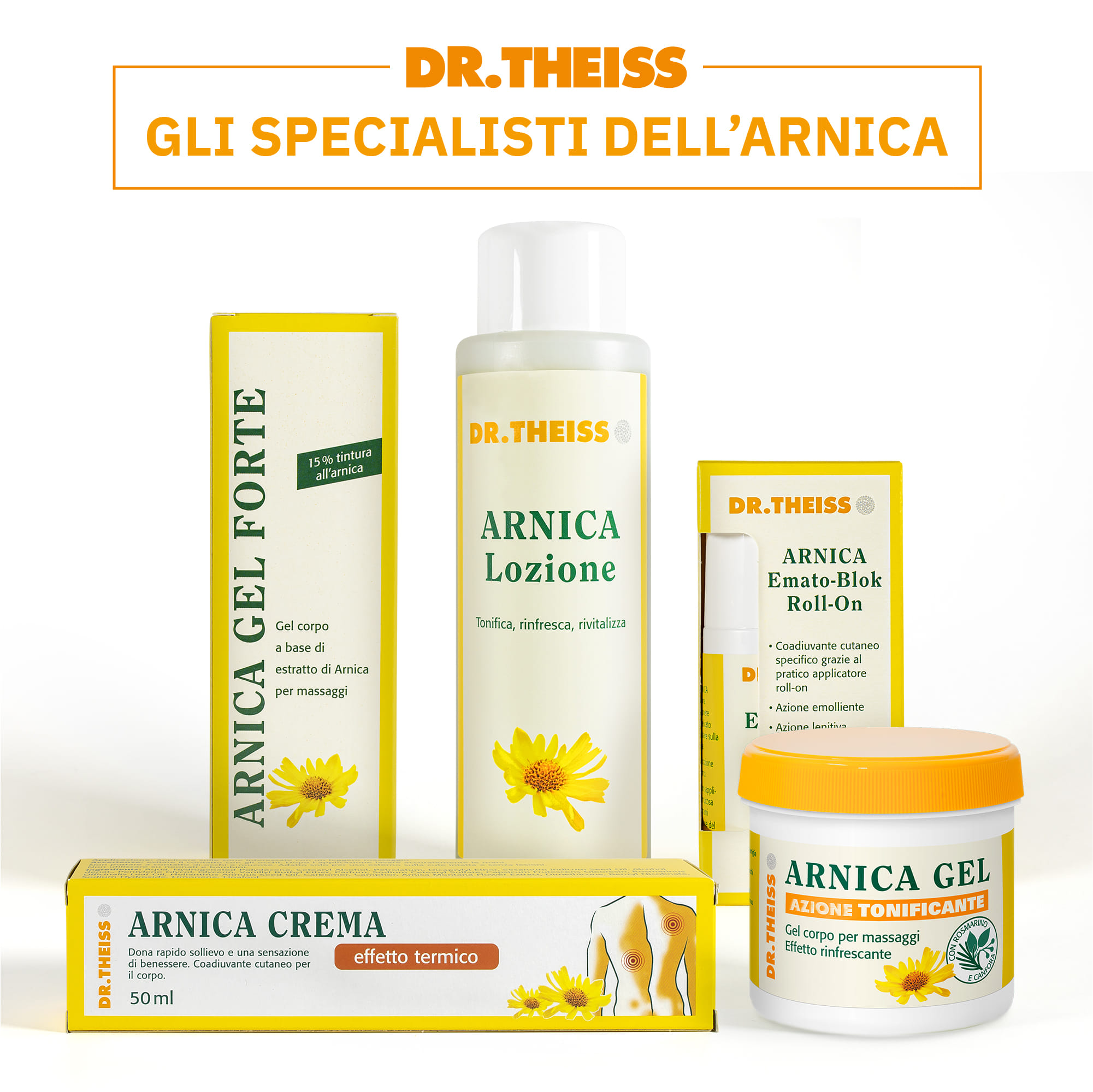 THEISS ARNICA POMATA RISCALDANTE 50 G