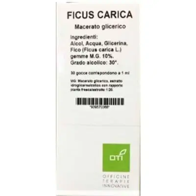 FICUS CARICA MACERATO GLICERICO 10% GOCCE 100ML FICUS CARICA MACERATO GLICERICO 10% GOCCE 100ML
