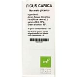 FICUS CARICA MACERATO GLICERICO 10% GOCCE 100ML