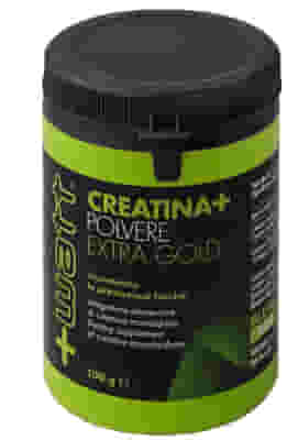 CREATINA+ POLVERE EXTRAGOLD 100 G
