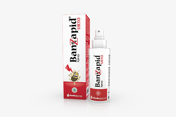 Banzapid Spray Trattamento 100 Ml