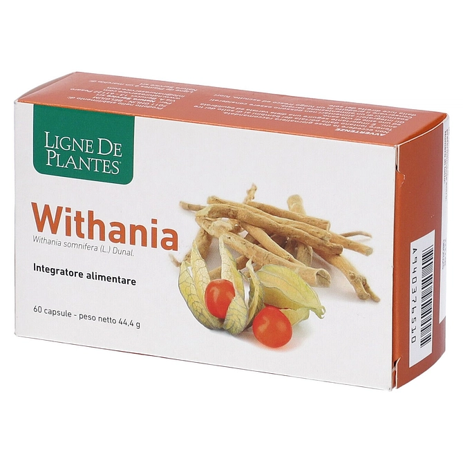 Withania 60 Capsule