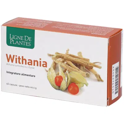 NATURA SERVICE WITHANIA 60 CAPSULE NATURA SERVICE WITHANIA 60 CAPSULE