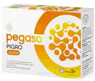 PEGASO PIGRO JUNIOR 14 BUSTINE DA 1,5 G PEGASO PIGRO JUNIOR 14 BUSTINE DA 1,5 G