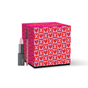 EUPHIDRA UN BACIO INASPETTATO LIP POTION + MATITA LABBRA LL05