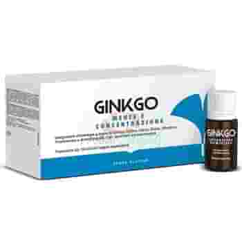 FPR GINKGO 10 FLACONCINI