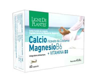 CALCIO + MAGNESIO B6 + VITAMINA D3 60 CAPSULE CALCIO + MAGNESIO B6 + VITAMINA D3 60 CAPSULE