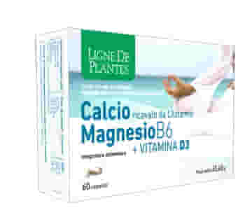 CALCIO + MAGNESIO B6 + VITAMINA D3 60 CAPSULE