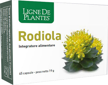 Rodiola 45 Capsule