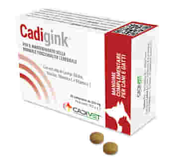 CADIGINK 30 COMPRESSE