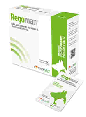 REGOMAN 10 BUSTINE