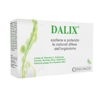 DALIX 20 BUSTINE