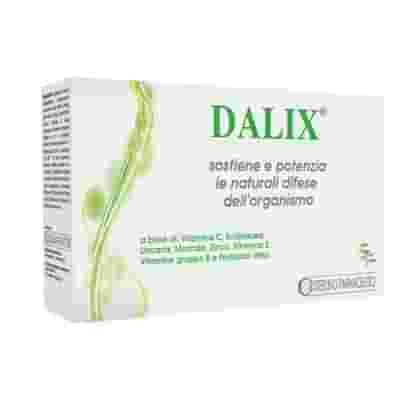 DALIX 20 BUSTINE