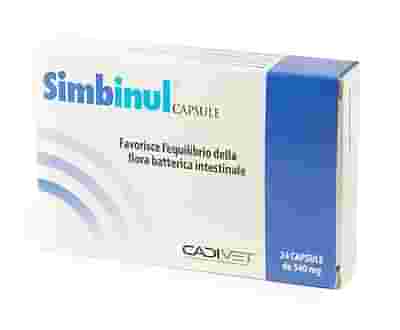 SIMBINUL 24 CAPSULE