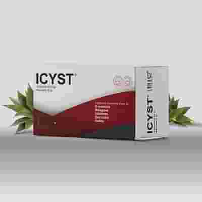 ICYST 14 BUSTINE